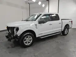1FTFW3LD1RFA55253 2024 FORD F-150