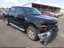 1FTFW3LD1RFA62624 2024 FORD F-150