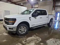1FTFW3LD1RFA62929 2024 FORD F-150