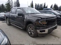 1FTFW3LD1RFA72909 2024 FORD F-150