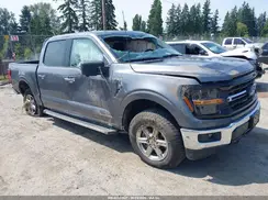 1FTFW3LD1RFA89340 2024 FORD F-150
