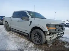 1FTFW3LD1RFB33689 2024 FORD F-150