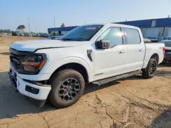 1FTFW3LD1SFB67024 2025 FORD F-150