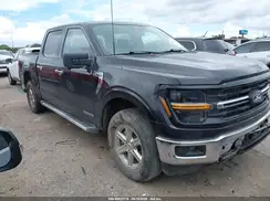 1FTFW3LD2RFA06272 2024 FORD F-150