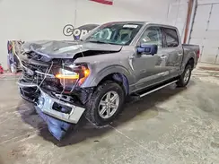 1FTFW3LD2RFA19751 2024 FORD F-150