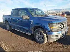 1FTFW3LD2RFA25453 2024 FORD F-150
