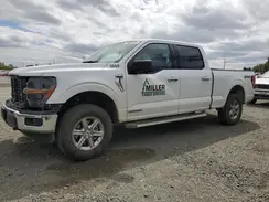 1FTFW3LD2RFA44231 2024 FORD F-150