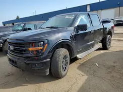 1FTFW3LD2RFA45119 2024 FORD F-150