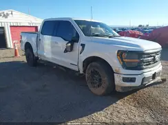 1FTFW3LD2RFA49686 2024 FORD F-150