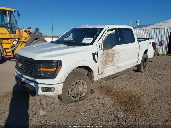 1FTFW3LD2RFA49686 2024 FORD F-150 - Image 2