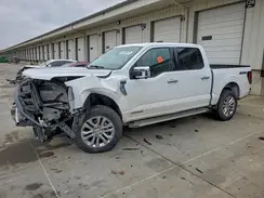 1FTFW3LD2RFA50207 2024 FORD F-150