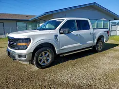 1FTFW3LD2RFA55259 2024 FORD F-150