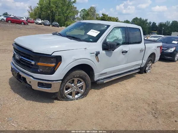 1FTFW3LD2RFA73177 2024 FORD F-150 - Image 2