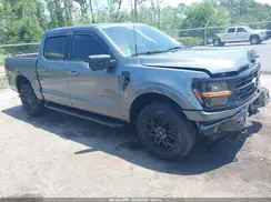 1FTFW3LD2RFB05741 2024 FORD F-150