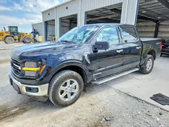 1FTFW3LD2RFC09856 2024 FORD F-150