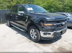 1FTFW3LD3RFA16888 2024 FORD F-150