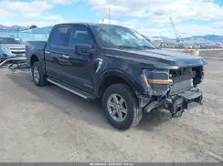 1FTFW3LD3RFA27163 2024 FORD F-150