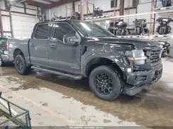 1FTFW3LD3RFA50135 2024 FORD F-150