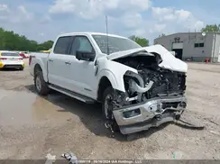 1FTFW3LD3RFA52435 2024 FORD F-150