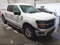 1FTFW3LD3RFA62706 2024 FORD F-150