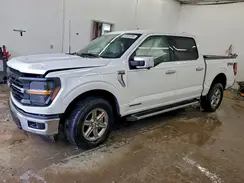 1FTFW3LD3RFB06672 2024 FORD F-150