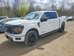 1FTFW3LD3RFB26940 2024 FORD F-150