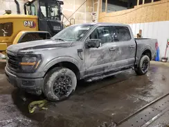 1FTFW3LD3RFB79086 2024 FORD F-150
