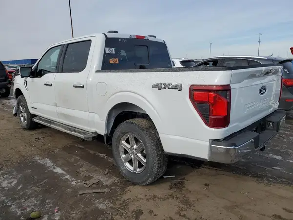 1FTFW3LD4RFA03311 2024 FORD F-150 - Image 2