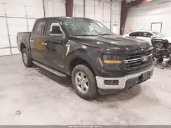 1FTFW3LD4RFA06631 2024 FORD F-150