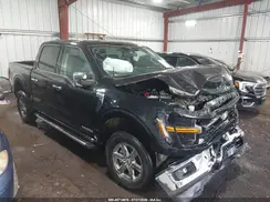 1FTFW3LD4RFA21422 2024 FORD F-150