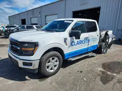 1FTFW3LD4RFA25499 2024 FORD F-150