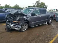 1FTFW3LD4RFA48202 2024 FORD F-150