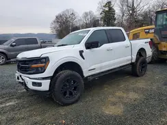 1FTFW3LD4RFB58523 2024 FORD F-150