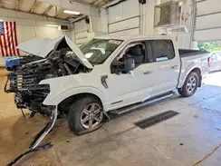 1FTFW3LD4SFA45466 2025 FORD F-150