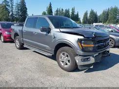 1FTFW3LD4SFA81318 2025 FORD F-150
