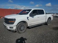 1FTFW3LD5RFA08100 2024 FORD F-150