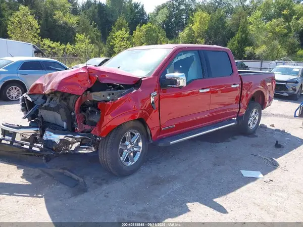 1FTFW3LD5RFA31487 2024 FORD F-150 - Image 2