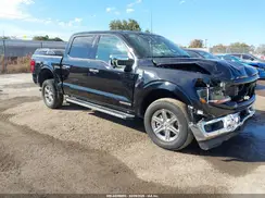 1FTFW3LD5RFA31683 2024 FORD F-150