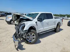 1FTFW3LD5RFA49262 2024 FORD F-150