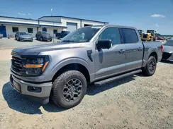 1FTFW3LD5RFB29502 2024 FORD F-150