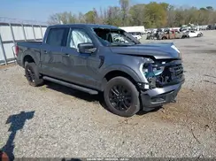 1FTFW3LD5RFB66646 2024 FORD F-150