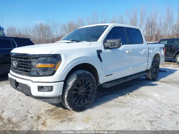 1FTFW3LD5RFB84967 2024 FORD F-150 - Image 2