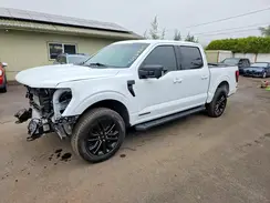 1FTFW3LD5SFB67284 2025 FORD F-150