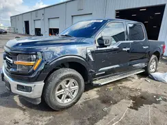 1FTFW3LD6RFA04699 2024 FORD F-150