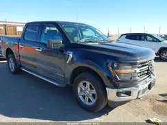 1FTFW3LD6RFA25195 2024 FORD F-150