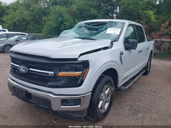 1FTFW3LD6RFA35774 2024 FORD F-150 - Image 2