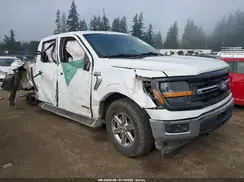 1FTFW3LD6RFA41915 2024 FORD F-150
