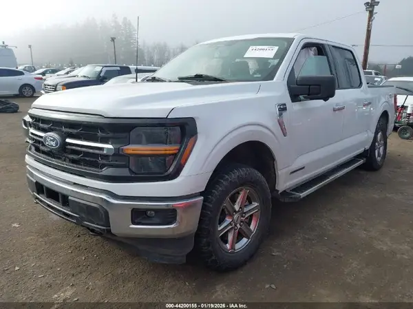 1FTFW3LD6RFA41915 2024 FORD F-150 - Image 2