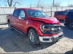 1FTFW3LD6RFA81332 2024 FORD F-150