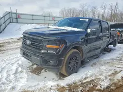 1FTFW3LD6RFA82545 2024 FORD F-150